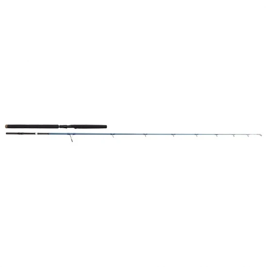 Savage Gear SGS2 Offshore Enchufe 2.50m F 30-80g MH